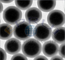 Amino Magnetic Beads Amino Magnetic Beads