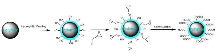 Carboxyl functionalized magnetic polystyrene beads Carboxyl functionalized magnetic polystyrene beads