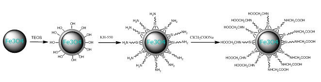 Carboxyl functionalized magnetic silica beads