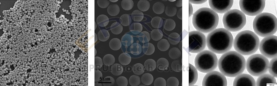 Carboxyl Magnetic Beads Carboxyl Magnetic Beads