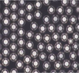 Conductive Ni Particles Conductive Ni Particles