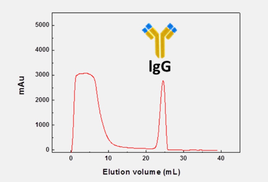 EPRUI protein a media used in hIgg purification from human serum