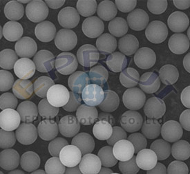 PMMA Microspheres