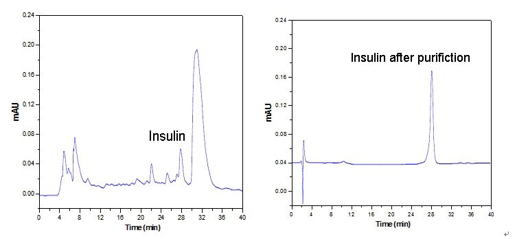 purification case of insulin