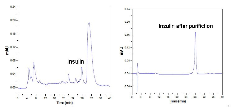 purification case of insulin purification case of insulin