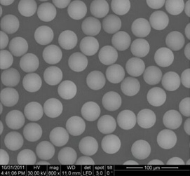 SEM of EPRUI-Gel Beads SEM of EPRUI-Gel Beads