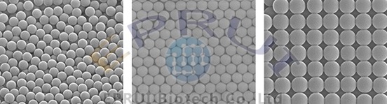 Size Standard Particle Size Standard Particle