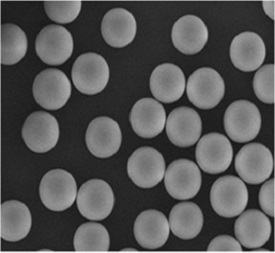 Vanco Chromatography Medium