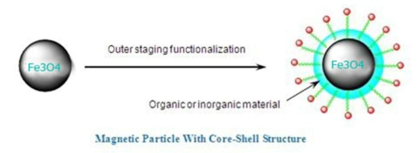 Magnetic Beads with Core Shell Type Magnetic Beads with Core Shell Type