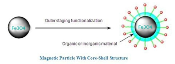 Magnetic Beads with Core Shell Type 