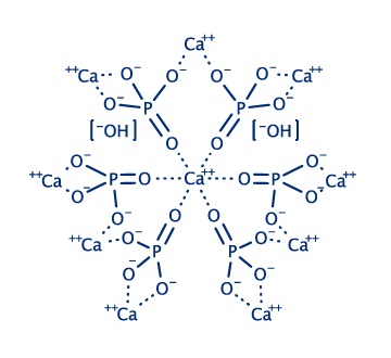 nano hydroxyapatite molecular structure nano hydroxyapatite molecular structure