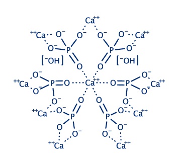 Image result for calcium hydroxyapatite